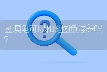 圆澳龟可以和地图鱼混养吗？