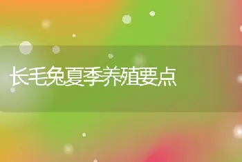 长毛兔夏季养殖要点