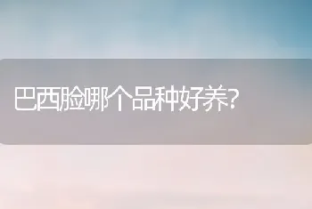 巴西脸哪个品种好养？