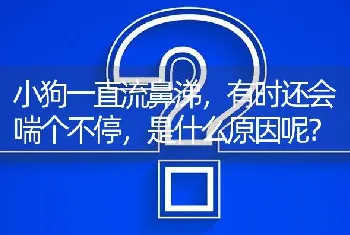 小狗一直流鼻涕，有时还会喘个不停，是什么原因呢？