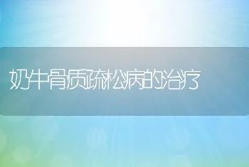 奶牛骨质疏松病的治疗