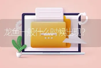 龙鱼一般什么时候出现？