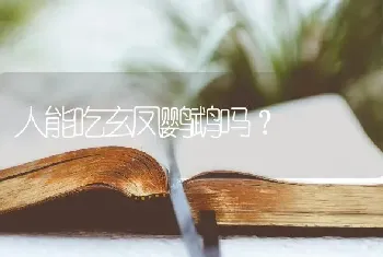 人能吃玄凤鹦鹉吗？