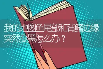 我的地图鱼尾部和背鳍边缘突然变黑怎么办？