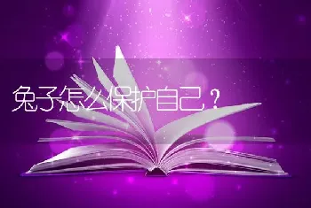 兔子怎么保护自己？