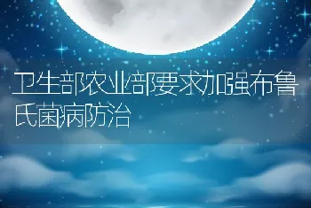 龟板的药用价值及加工方法