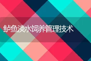 鲈鱼淡水饲养管理技术