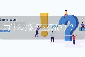 为什么小奶狗喜欢舔手？