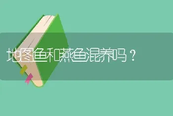 地图鱼和燕鱼混养吗？