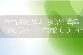 养竹鼠赚钱吗 铜梁刘勇靠竹鼠养殖一年产值200万元