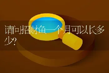 请问招财鱼一个月可以长多少？