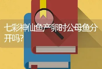 七彩神仙鱼产卵时公母鱼分开吗？