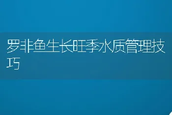 罗非鱼生长旺季水质管理技巧