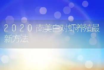 2020南美白对虾养殖最新方法