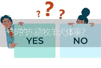 一岁的东德牧羊犬体重？