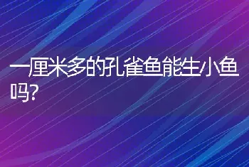 一厘米多的孔雀鱼能生小鱼吗？