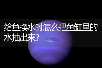 给鱼换水时怎么把鱼缸里的水抽出来？