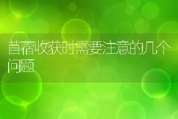 平度市2011年兽药饲料管理工作成效斐然