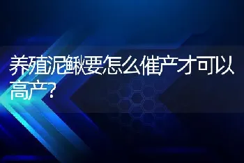 养殖泥鳅要怎么催产才可以高产？