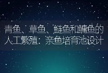 青鱼、草鱼、鲢鱼和鳙鱼的人工繁殖：亲鱼培育池设计