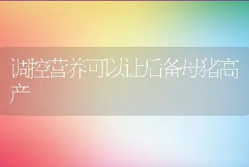 七月八月养鹅的技术要点