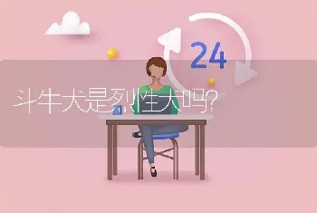 哈士奇有哪些优缺点？