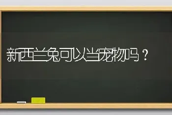 新西兰兔可以当宠物吗？