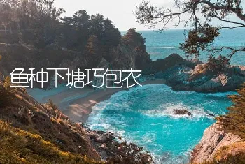 鱼种下塘巧包衣