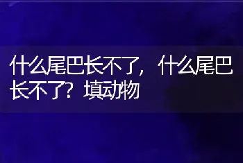 什么尾巴长不了，什么尾巴长不了？填动物