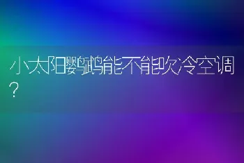 小太阳鹦鹉能不能吹冷空调？