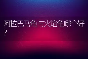 阿拉巴马龟与火焰龟哪个好？