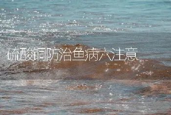 硫酸铜防治鱼病六注意