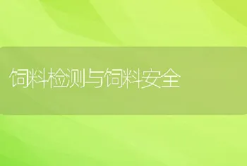 饲料检测与饲料安全