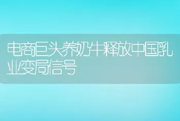 电商巨头养奶牛释放中国乳业变局信号