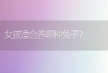 女孩适合养哪种兔子？