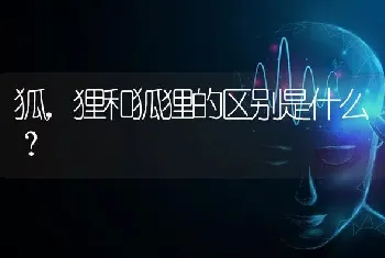 狐，狸和狐狸的区别是什么？