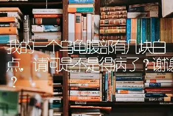 我的一个乌龟腹部有几块白点，请问是不是得病了？谢谢？