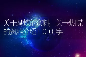 关于蝴蝶的资料，关于蝴蝶的资料介绍100字