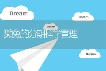 獭兔的分期科学管理