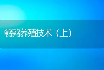 鹌鹑养殖技术（上）