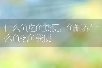 真菌感染吃什么药，男性生殖系统真菌感染吃什么药