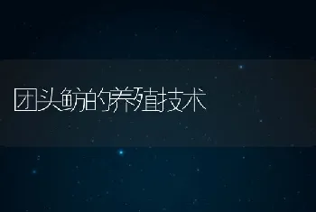 团头鲂的养殖技术