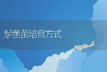 鲈鱼苗培育方式