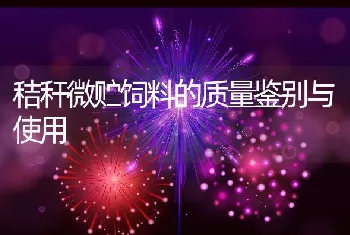 乌鳢高效生态养殖模式与关键技术