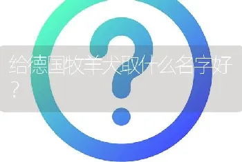 给德国牧羊犬取什么名字好？