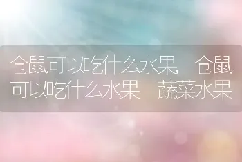 仓鼠可以吃什么水果，仓鼠可以吃什么水果 蔬菜水果