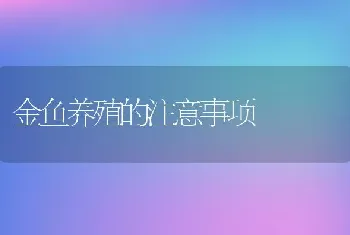 金鱼养殖的注意事项