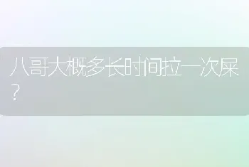 八哥大概多长时间拉一次屎？