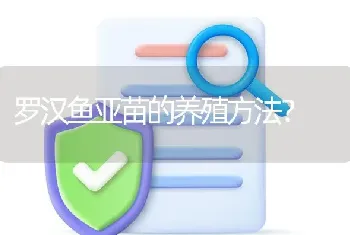 罗汉鱼亚苗的养殖方法？