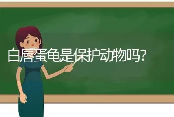 白唇蛋龟是保护动物吗？